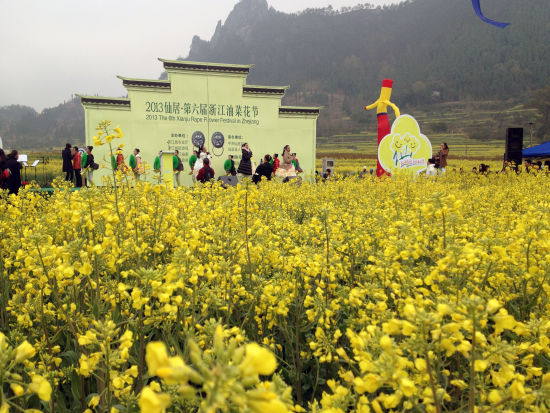 新浪浙江:仙居油菜花节开幕 生态美景醉游人(图)